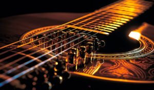 Lee más sobre el artículo Experience the New “Music” Template with the OceanWP Theme